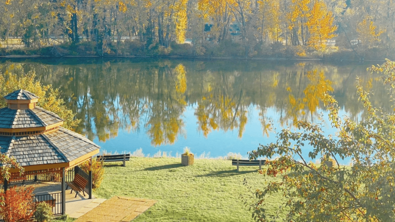 Nature Meets Convenience - Belvedere in the Fall